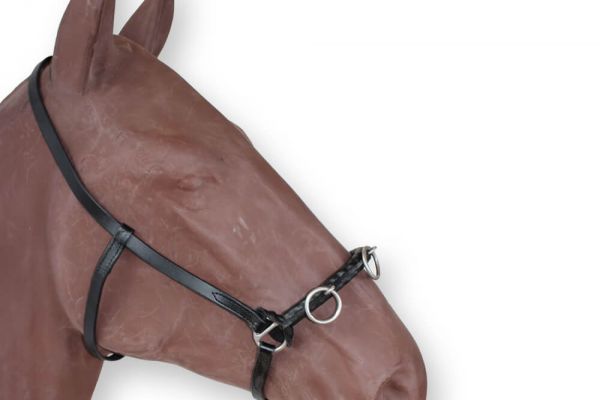 Deuber Ecuyer Kappzaum