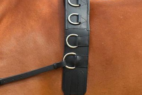 Busse Longiergurt Profi