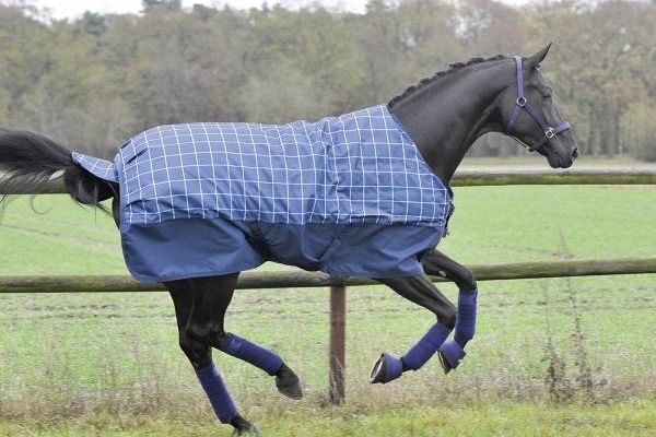 Busse Regendecke