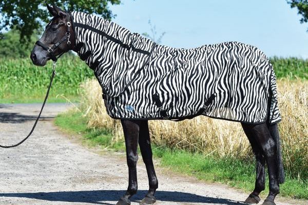 Busse Zebra